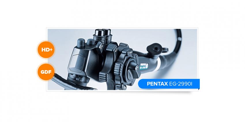 Main characteristics of Pentax representative